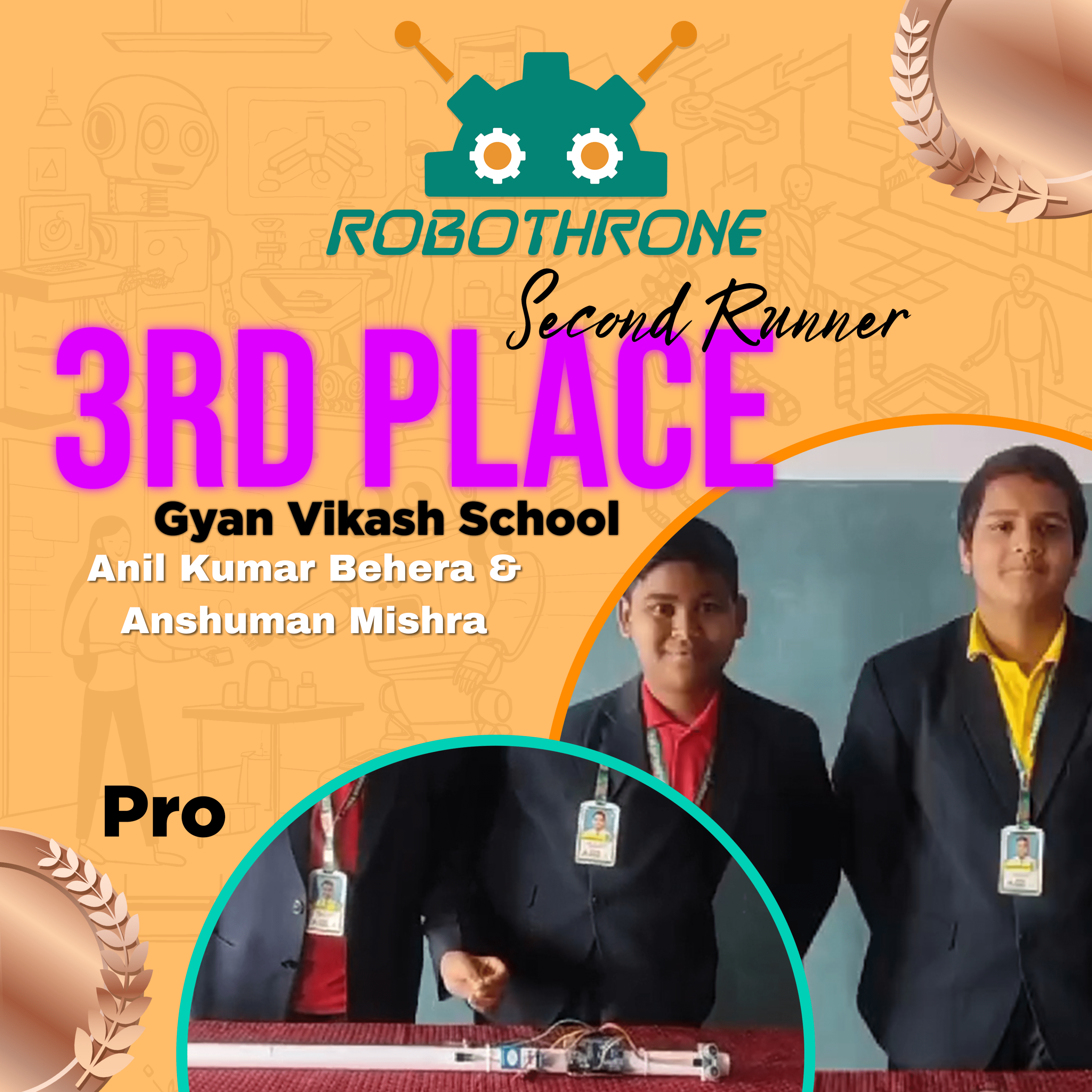 Pro Division Project 3